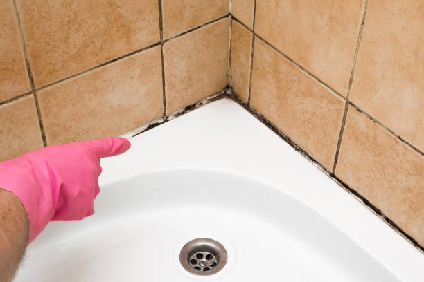 Best Emergency Mold Remediation in Farmersville, TX